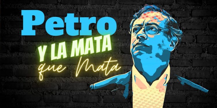 Petro propone que gobierno compre hoja de coca para convertirla en abono