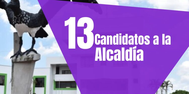 La Alcaldía de Arauca se definirá entre 13 aspirantes