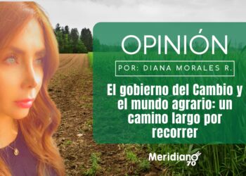 El gobierno del Cambio y el mundo agrario: un camino largo por recorrer