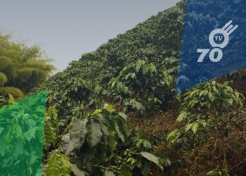 Agencia Nacional de Tierras advierte sobre mal uso de su imagen en Arauca
