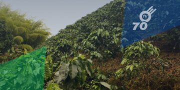 Agencia Nacional de Tierras advierte sobre mal uso de su imagen en Arauca