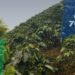 Agencia Nacional de Tierras advierte sobre mal uso de su imagen en Arauca