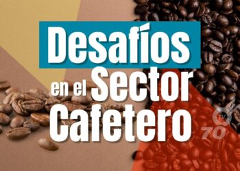 Sectores Claves ante la Crisis Cafetera