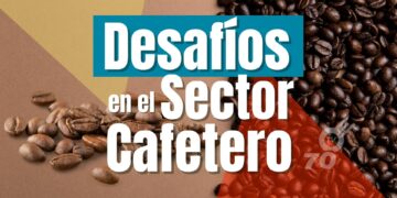 Sectores Claves ante la Crisis Cafetera