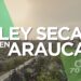 Alcaldía de Arauca establece medidas para la jornada electoral