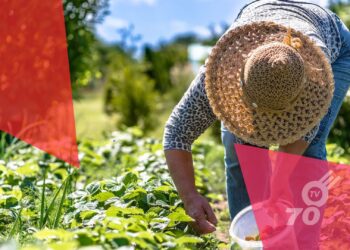 Productores agropecuarios expresan preocupación por inseguridad en Congreso Nacional