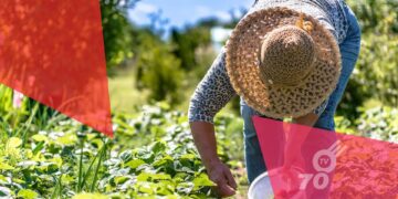 Productores agropecuarios expresan preocupación por inseguridad en Congreso Nacional