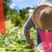 Productores agropecuarios expresan preocupación por inseguridad en Congreso Nacional