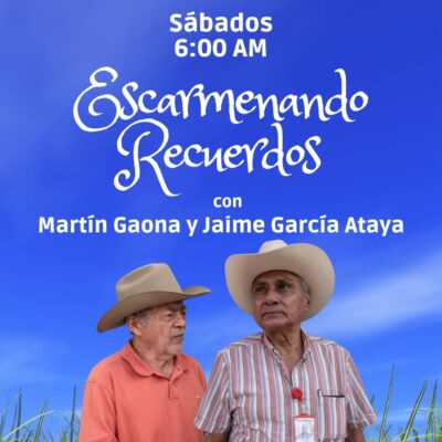 escarmenando recuerdos pagweb