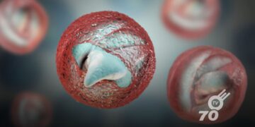 Estudio revela presencia del parásito Cryptosporidium spp. en el ganado de Arauca