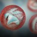 Estudio revela presencia del parásito Cryptosporidium spp. en el ganado de Arauca