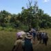 La Unidad de Restitución de Tierras amplía alcance en Arauca para tramitar reparaciones
