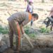 El alcalde de Arauca lidera jornada de aseo y embellecimiento del sector de los Güires en el municipio.