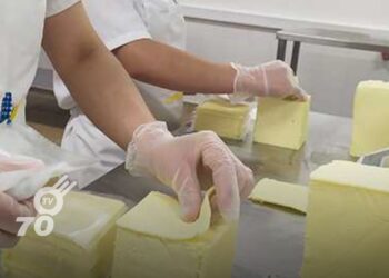 Productores de queso del departamento de Arauca se organizan para establecer puntos de control en los municipios.