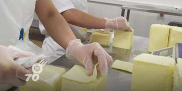Productores de queso del departamento de Arauca se organizan para establecer puntos de control en los municipios.