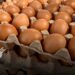 El DANE reporta una disminución en el precio del huevo en Colombia, destacando variaciones regionales y su impacto en el mercado agropecuario.