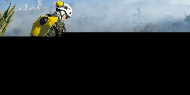 Tres individuos fueron capturados por provocar incendios en Tunja, Boyacá, en medio de alerta por El Niño y riesgo de incendios forestales.