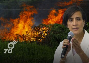 La Ministra de Ambiente, Susana Muhamad, reporta 27 incendios forestales activos y desabastecimiento hídrico en Colombia, desplegando medidas de respuesta.