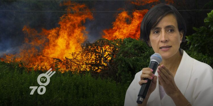 La Ministra de Ambiente, Susana Muhamad, reporta 27 incendios forestales activos y desabastecimiento hídrico en Colombia, desplegando medidas de respuesta.