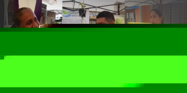 Primera feria agroempresarial Arauca despierta y segura se llevó a cabo en Arauca