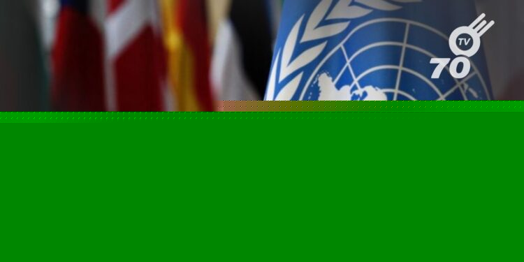 La ONU se pronuncia sobre los secuestros en Arauca, pidiendo liberaciones seguras y medidas estatales para proteger los derechos humanos.