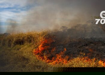 La Policía Nacional en Arauca detiene a varios individuos por participar en actividades de contaminación ambiental y deforestación, reforzando la lucha contra los delitos ecológicos.
