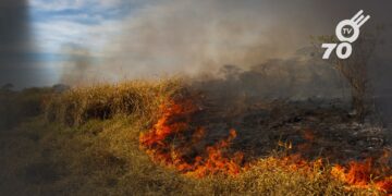 La Policía Nacional en Arauca detiene a varios individuos por participar en actividades de contaminación ambiental y deforestación, reforzando la lucha contra los delitos ecológicos.
