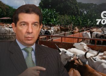 Los ganaderos colombianos enfrentan una crisis por la caída del 12% en los precios de la leche, poniendo en riesgo la producción y el sustento de pequeñas propiedades.