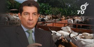 Los ganaderos colombianos enfrentan una crisis por la caída del 12% en los precios de la leche, poniendo en riesgo la producción y el sustento de pequeñas propiedades.