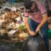 Participa en la jornada de aseo en el municipio de Arauca este 15 y 16 de marzo para embellecer el Caño Córdoba y recuperar el parque Carmentea.