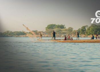 Desde el 1 de abril al 31 de mayo de 2024, la pesca en Arauca y otros departamentos de la Orinoquia estará prohibida para proteger la reproducción de peces.