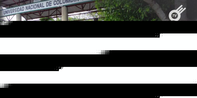 La Universidad Nacional Sede Orinoquía logra acuerdos esenciales en su última asamblea para abordar cuestiones académicas y administrativas.