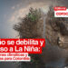 Con el debilitamiento de El Niño, se anticipa La Niña a finales de 2024, lo que podría impactar significativamente el clima y la agricultura en Colombia.