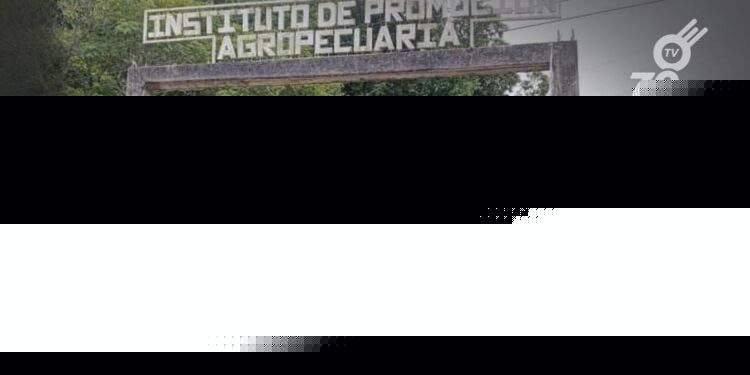 En respuesta a la disconformidad comunitaria, la Secretaría de Educación de Arauca ha revocado la resolución que trasladaba el Instituto de Promoción Agropecuaria de Puerto Jordán a Arauquita, manteniendo su ubicación original y evitando las protestas anunciadas.