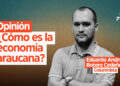 Opinión: ¿Cómo es la economía araucana?