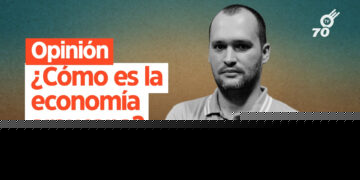 Opinión: ¿Cómo es la economía araucana?