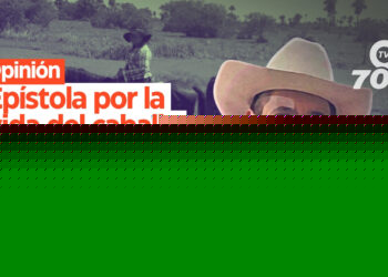 Opinión: Epístola por la vida del caballo criollo llanero