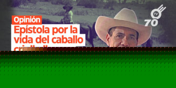 Opinión: Epístola por la vida del caballo criollo llanero
