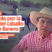 Opinión: Epístola por la vida del caballo criollo llanero